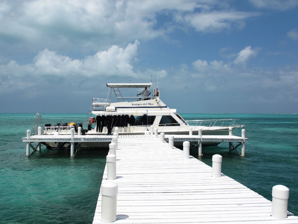 IMG_0300 (1) IMG_0300 (1)